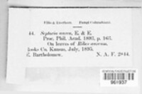 Image Associated With the Occurence